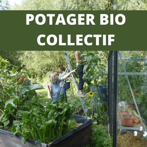 POTAGER BIO COLLECTIF (1)